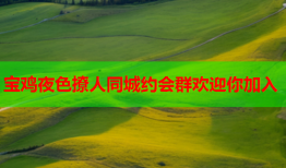宝鸡夜色撩人同城约会群欢迎你加入